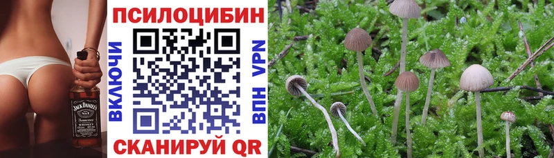 Галлюциногенные грибы ЛСД  площадка состав  Фрязино 